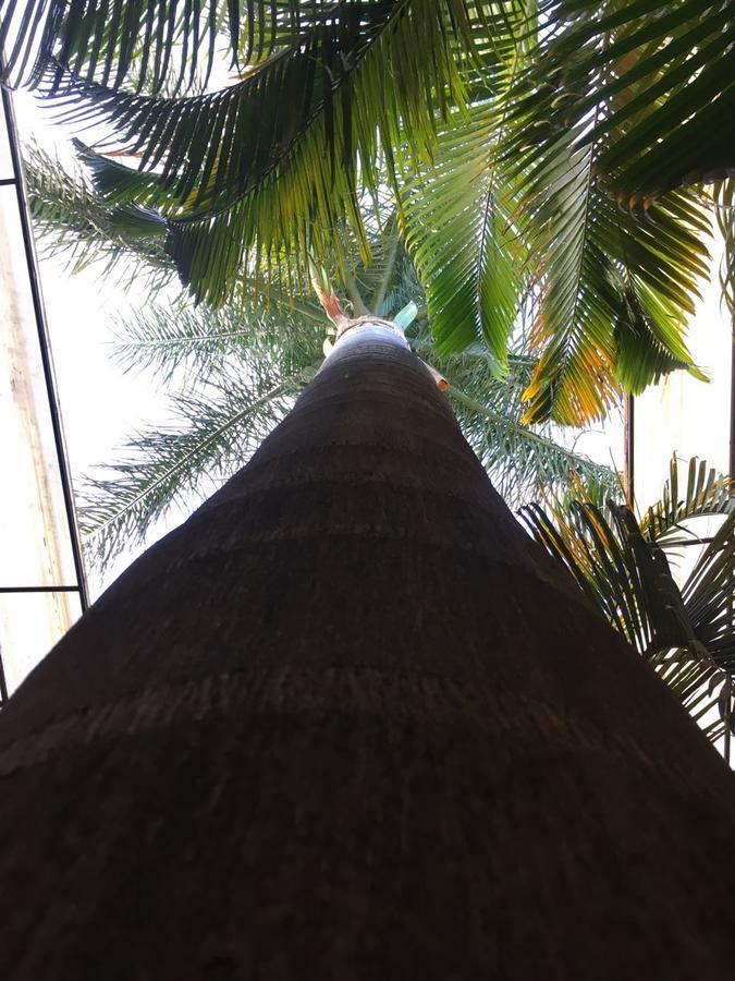 Hotel Tierra Del Sol Oaxaca Ngoại thất bức ảnh