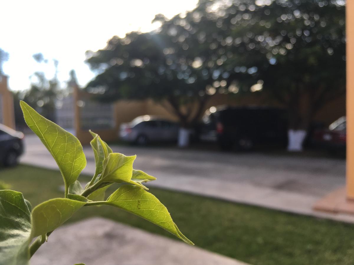 Hotel Tierra Del Sol Oaxaca Ngoại thất bức ảnh
